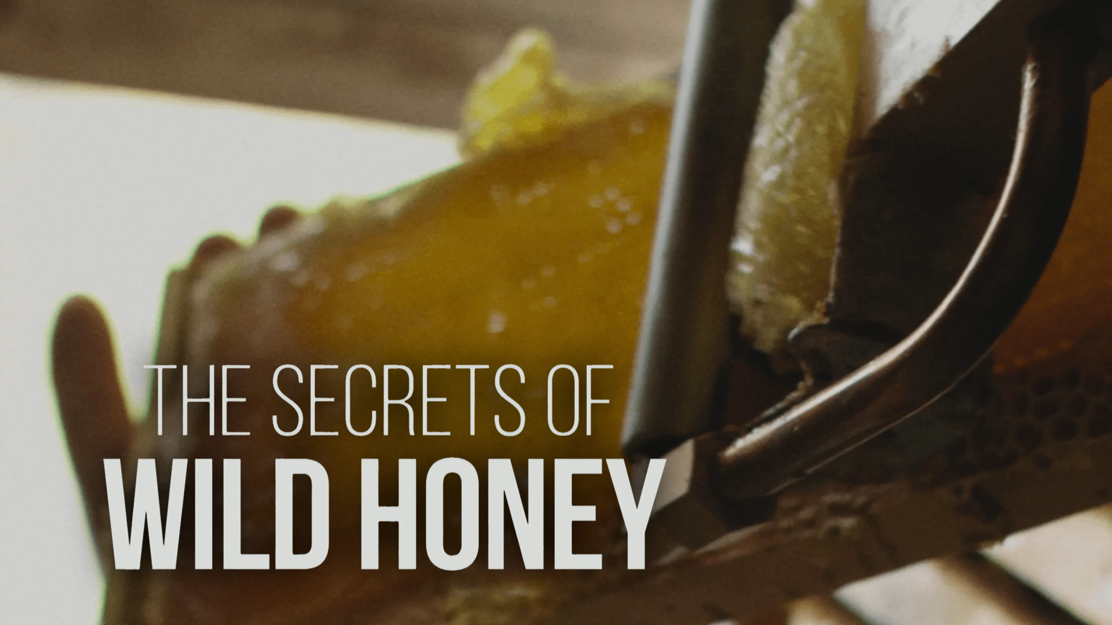 The Secrets of Wild Honey poster